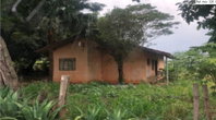 Lote Rural 5.000m² com Casa em Alvenaria em Pérola/PR