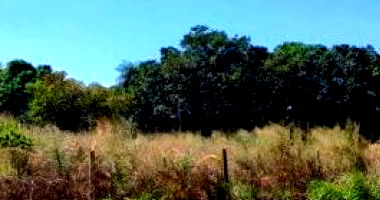 Terreno amplo 360 m² no Parque Flamboyant, pronto para construir
