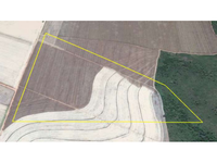 Sítio com 85,89 hectares em Nova Ubiratã/MT