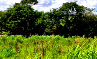 Terreno com 5.000m² em Anápolis/GO