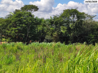 Terreno com 5.000m² em Anápolis/GO