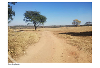 Fazenda Santa Amélia com 155 Hectares em Araújos/MG
