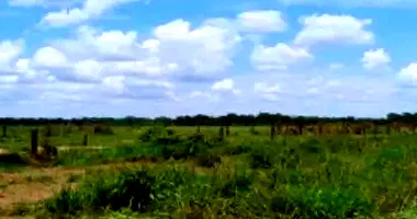 Espaçoso Terreno Rural Ocupado com 4687100m² em Leilão