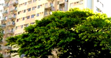 Apartamento com 2 Quartos no Engenho de Dentro