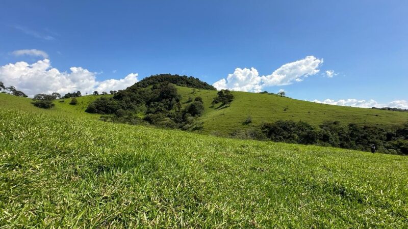 Imóvel Rural em Iapu/MG com 38,72 hectares