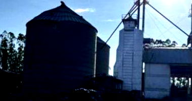 Fazenda Dal Bosco em Sorriso/MT com 181,5ha de Fração Ideal