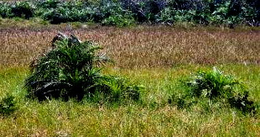 Lote em Itaporanga D'Ajuda com 450m²