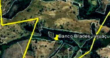 Área Rural com 242 hectares em Hidrolina/GO - Oportunidade Única