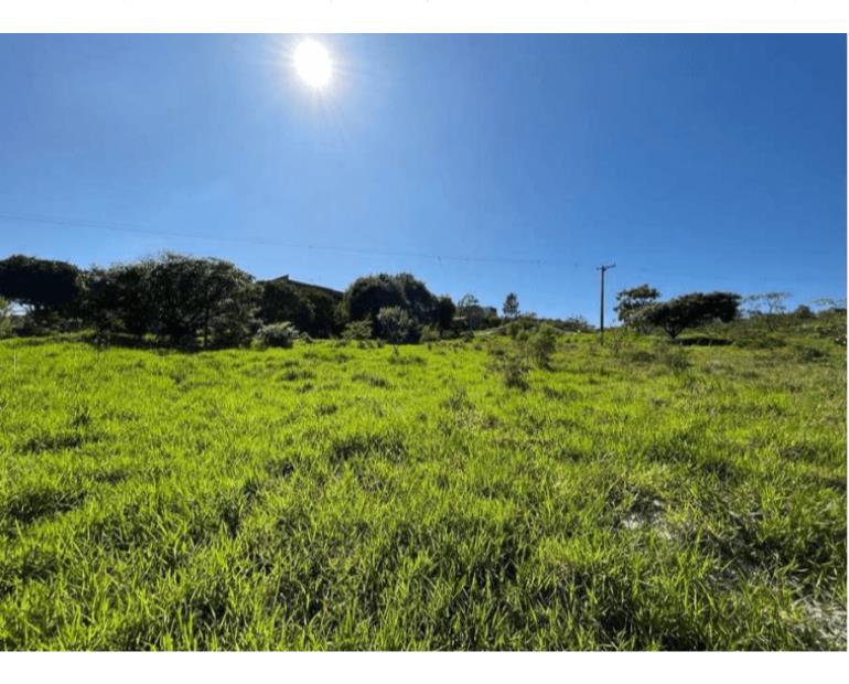 Terreno amplo 76.949m² com vocação para loteamento