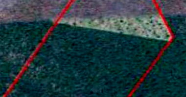 Área Rural com 96,66 hectares, ocupada, ideal para investimento