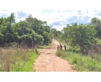 Fazenda Gameleira em Lagoa Grande - MG