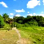 Grande Gleba Rural com 61,72 hectares, área ideal para investimento