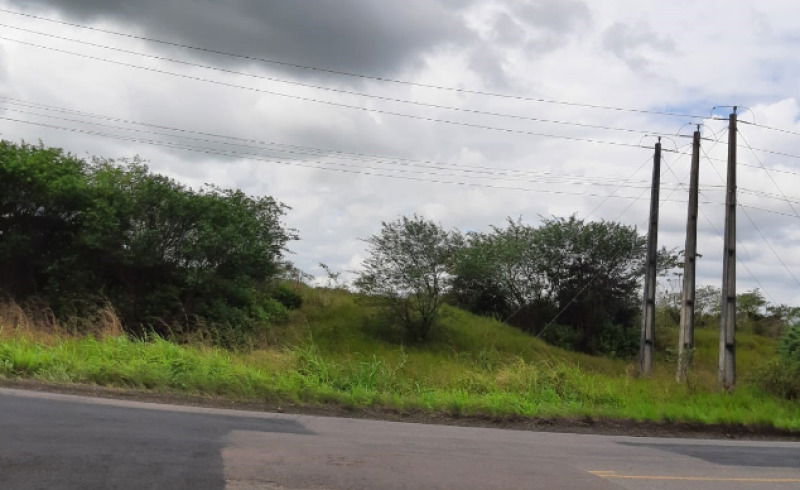 Área de Terra em Lagarto - 21 Tarefas