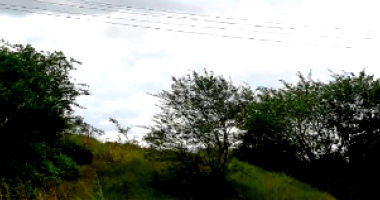 Área de Terra em Lagarto - 21 Tarefas