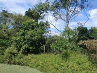 Terreno Rural de 20.000 m² em Anitápolis-SC