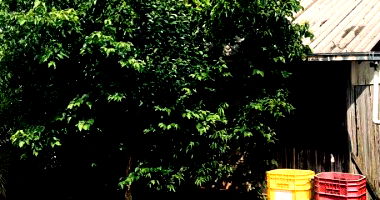 Terreno Urbano com Amplo Espaço em São Valentim/RS