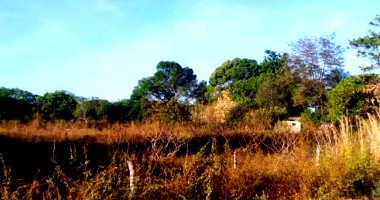 Terreno com 3.057m² em Pium/TO