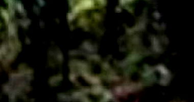 Terreno com 3.750 m² em Campos do Jordão