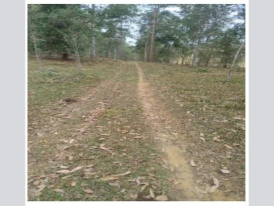 Área Rural com Edificações em Cataguases - MG