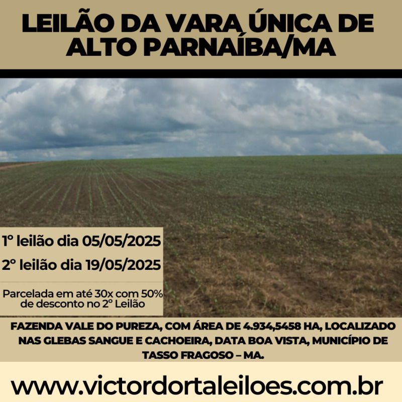 Fazenda Vale do Pureza com 4.934 ha em Tasso Fragoso - MA