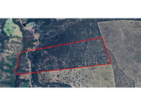 Área Rural de 27,98 ha em leilão - Fazenda Vereda Velha