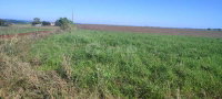 Terreno de 4,10 hectares em Santo Ângelo