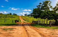 Fazenda São Sebastião com 881 hectares em Figueirão/MS