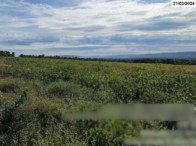 Fazenda com 747,86ha em Alto Paraguai/MT