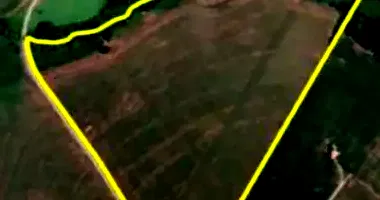 Sítio Rural com Ampla Área de Terreno em Leilão