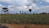 Imóvel Rural com 12,10 ha para Pecuária