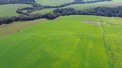 Fazenda Rural com 48.400 m², Sem Benfeitorias