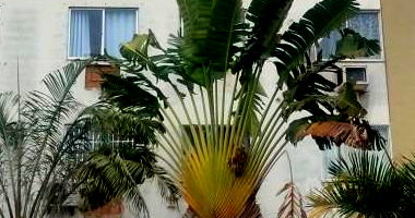 Apartamento 50m² com 1 quarto e 1 banheiro - Ocupado