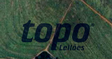 Fazenda Ipanema II com 79,87 Hectares em Onda Verde/SP