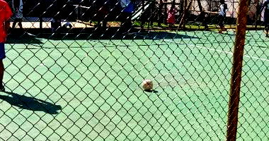 Apartamento com 2 quartos e área privativa de 40,53 m²