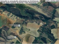 Fazenda com 217,80 hectares em Tapira/MG
