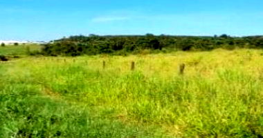 Área Rural de 201.708 m² em Graciosa - Oportunidade Única!