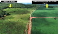 Fazenda Valentino com 1.899,27 hectares, desocupada