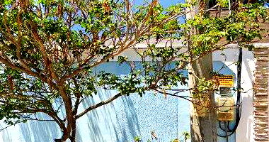 Casa com 0,01 m² em Campo Grande, RJ - Oportunidade!
