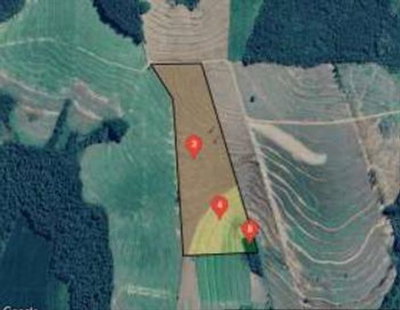 Imóvel Rural com 14,5 Alqueires em Janiópolis/PR