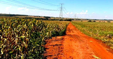 Imóvel Rural com 14.52 ha em Terra Roxa/PR