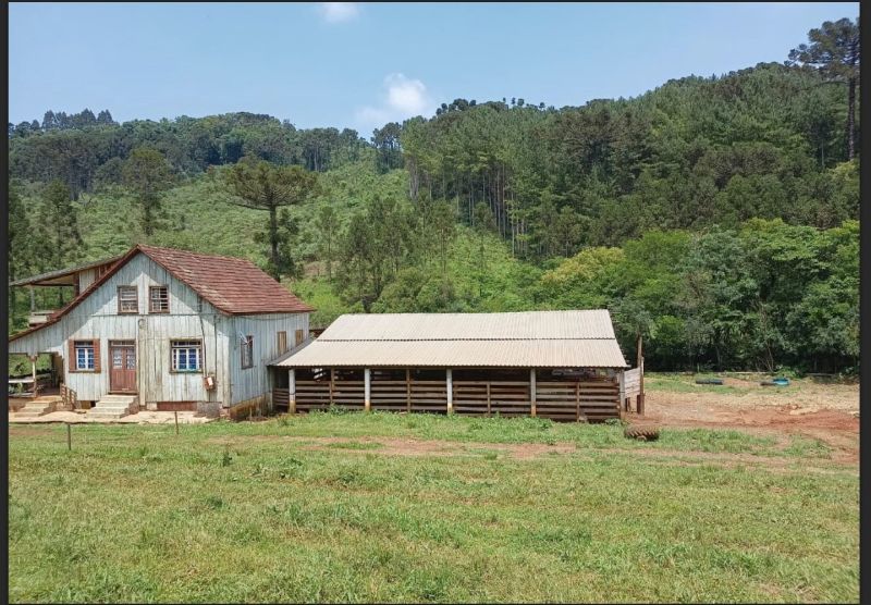 Terreno rural com casa e galpão, 100m² construídos, estado regular