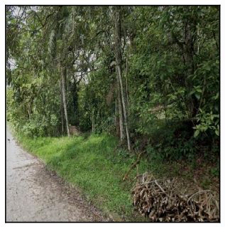 Espaçoso Terreno de 900m² para Oportunidades de Investimento