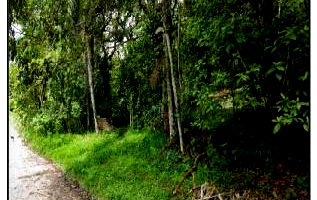 Espaçoso Terreno de 900m² para Oportunidades de Investimento