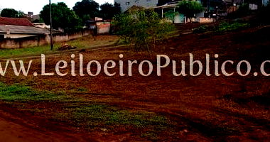 Imóvel Urbano com 390 m² em Nova Tebas, terreno plano