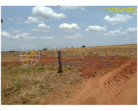 Imóvel Rural com 70 Alqueires em Iepê - SP