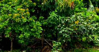 Terreno em Ji-Paraná com 360m²