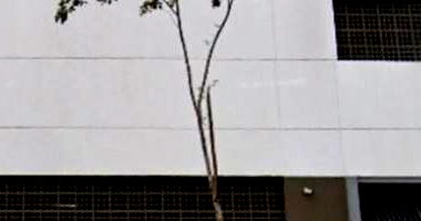 Apartamento com 1 vaga no Condomínio Open Marajoara