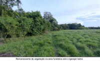 Terreno rural de 14,52 hectares em zona rural de Urupá/RO
