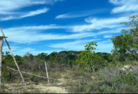 Terreno Urbano em Santa Cruz de Cabralia - Oportunidade Única