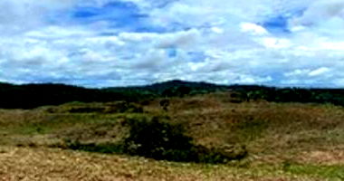 Imóvel Rural com 67 Hectares para Pecuária e Reflorestamento em Itapuranga/GO